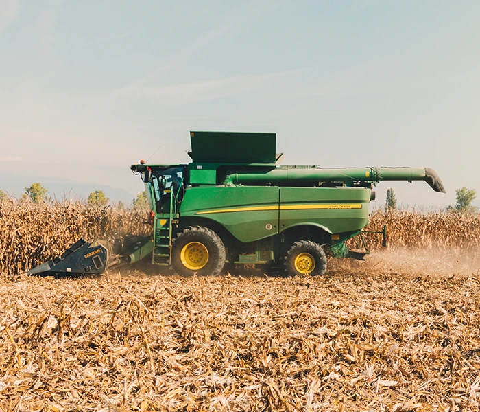 Green combine harvester working in field